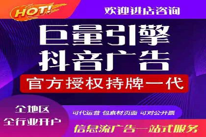 SEM服务案例：打造行业领先品牌